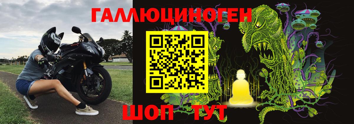 Галлюциногенные грибы мицелий Гатчина