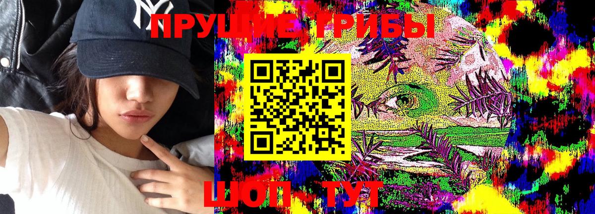 Гатчина  Псилоцибиновые грибы мицелий  Галлюциногенные грибы Magic Shrooms  Вход с VPN 